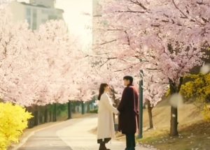 K-Drama’s “Enchanting Cherry Blossom Petals” Scene: The Secret Meaning You Need To Know
