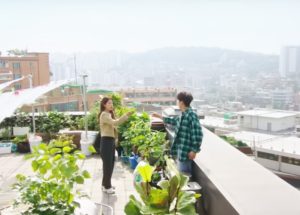 The Secret Behind Every K-Drama’s Rooftop Apartment Moment You Should Know
