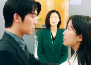What Is The Plot Of “My Dearest Nemesis” K-Drama?