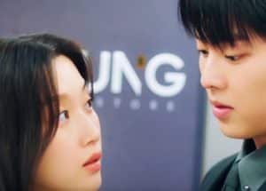 Is “My Dearest Nemesis” An Adaptation?